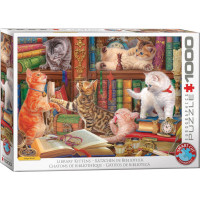 EUROGRAPHICS Puzzle Mačacia knižnica 1000 dielikov