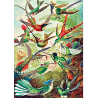 GOOD LOOT Puzzle Imagination: Ernst Haeckel - Kolibríky 1000 dielikov