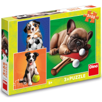 DINO Puzzle Psí športovci 3x55 dielikov