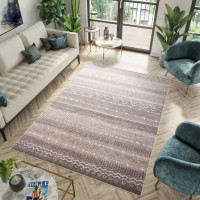 Kusový koberec FIESTA Rug - hnedý