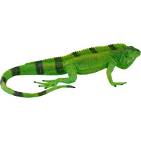 Mojo Leguán