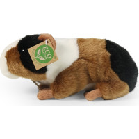 Rappa Plyšové morča 22 cm ECO-FRIENDLY