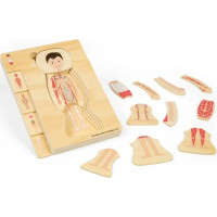 Bigjigs Toys Drevené puzzle Anatómia chlapec