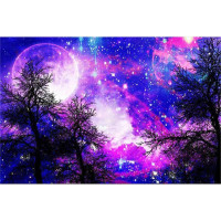 NORIMPEX Diamantové maľovanie Fialové nebo 30x40cm