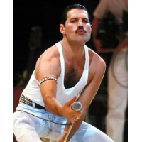 NORIMPEX Diamantové maľovanie Freddie Mercury 30x40cm