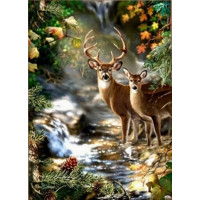NORIMPEX Diamantové maľovanie Jeleň a srnka pri lesnom potoku 30x40cm