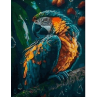NORIMPEX Diamantové maľovanie Papagáj 30x40cm