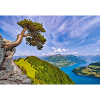 CASTORLAND Puzzle Pohľad na jazero Uri, Švajčiarsko 1000 dielikov