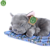 Rappa Plyšový pes francúzsky buldoček ležiaci 23 cm ECO-FRIENDLY