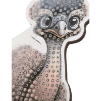 CRYSTAL ART Diamantové maľovanie Na zemi: Emu