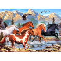ALIPSON Puzzle Divokí a slobodní 500 dielikov