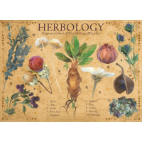 AQUARIUS Puzzle Harry Potter: Bylinkárstvo 1000 dielikov