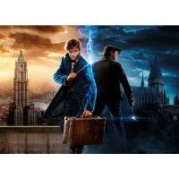 AQUARIUS Puzzle Harry Potter: Fantastické zvieratá 1000 dielikov