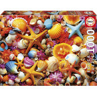 EDUCA Puzzle Mušle 1000 dielikov