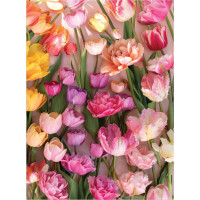 GALISON Puzzle Pominuteľné tulipány 1000 dielikov