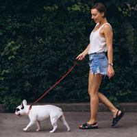 Obojok s vodítkom 1,5 m pre psa - červený