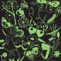 Mudpuppy Puzzle Motýle - svieti v tme 500 dielikov