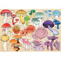 HOP Puzzle Hubová mánia 1000 dielikov