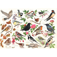 HOP Puzzle Vtáky v záhrade 1000 dielikov