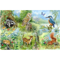 HOP Puzzle Štúdium prírody BIG 250 dielikov