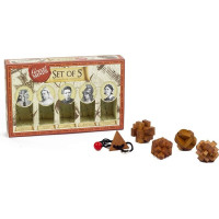 PROFESOR PUZZLE Great Minds: Slávne ženy 5v1