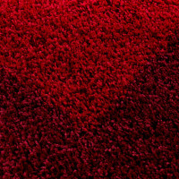Kusový koberec Life Shaggy 1503, 60x110 cm