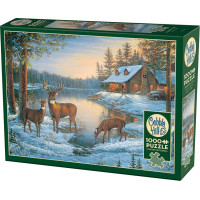 COBBLE HILL Puzzle Tiché miesto 1000 dielikov