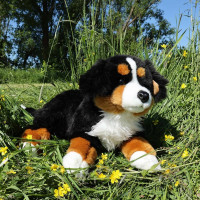Rappa Plyšový Bernský salašnícky pes ležiaci 61 cm ECO-FRIENDLY