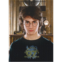DODO Puzzle Harry Potter 450 dielikov