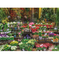 RAVENSBURGER Puzzle Pobrežie Na Pali, Havaj 500 dielikov