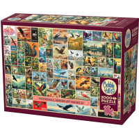 COBBLE HILL Puzzle Vtáky z celého sveta 2000 dielikov