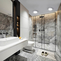 Solight LED mini panel kúpeľňový 2v1, 3CCT, podhľadový / prisadený, 24W, 2040lm, IP54, strieborná, okrúhly