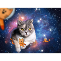 RAVENSBURGER Puzzle Mačka vo vesmíre 1500 dielikov