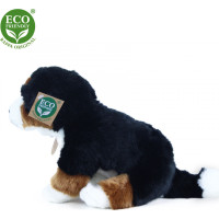 Rappa Plyšový pes bernský salašnícky sediaci 25 cm ECO-FRIENDLY