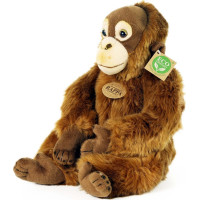 Rappa Plyšová opica orangutan 27 cm ECO-FRIENDLY