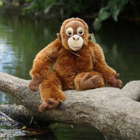 Rappa Plyšová opica orangutan 27 cm ECO-FRIENDLY
