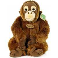 Rappa Plyšová opica orangutan 27 cm ECO-FRIENDLY
