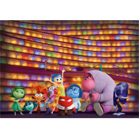 EDUCA Puzzle V hlave 2, 1000 dielikov