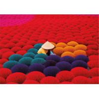 EDUCA Puzzle Vietnam 1000 dielikov