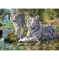DINO Puzzle Secret Collection: Bieli tigre 1000 dielikov
