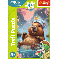 Displej Puzzle Treflíci 54 dielikov (40 ks)