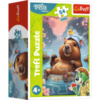 Displej Puzzle Treflíci 54 dielikov (40 ks)