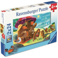 RAVENSBURGER Puzzle Medvedia rodinka na výlete 2x24 dielikov