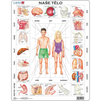 LARSEN Puzzle Naše telo 35 dielikov