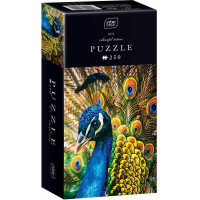 INTERDRUK Puzzle Colorful Nature: Páv 250 dielikov