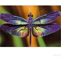 INTERDRUK Puzzle Colorful Nature: Vážka 250 dielikov