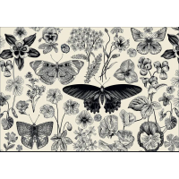 INTERDRUK Puzzle Flowers: Motýle a kvety 500 dielikov