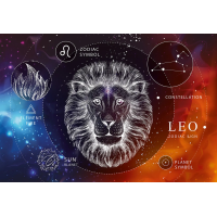 INTERDRUK Puzzle Zverokruh: Lev 250 dielikov