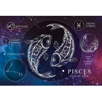 INTERDRUK Puzzle Zverokruh: Ryby 250 dielikov