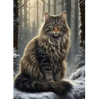 NORIMPEX Diamantové maľovanie Kocúr v lese 30x40cm